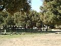 2005-08 La BArben 049